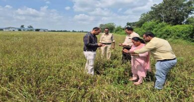 सिवनी मालवा में सोयाबीन फसल क्षति का सर्वे किया