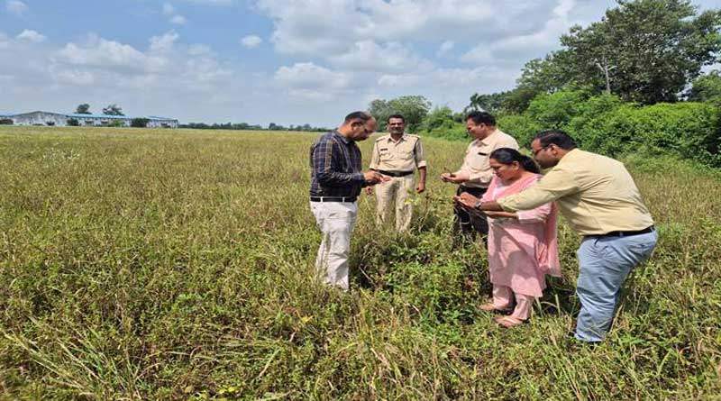 सिवनी मालवा में सोयाबीन फसल क्षति का सर्वे किया