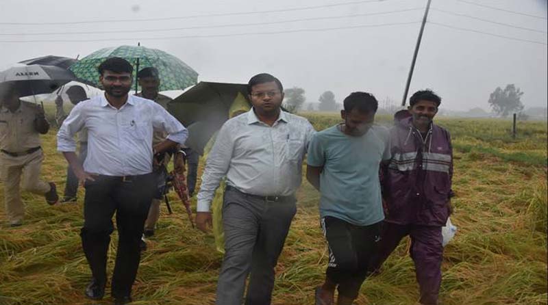 बारिश से धान की फसल में हुई क्षति का जायजा लेने खेतों में पहुंचे कलेक्टर