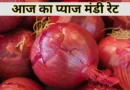 Onion Price Today: महाराष्ट्र की मंडियों में ₹2500/क्विंटल तक बिका प्याज, जानिए मध्यप्रदेश की मंडियों का हाल