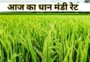 धान मंडी रेट आज का (24 अक्टूबर 2025)