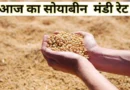 सोयाबीन मंडी रेट आज का (16 अक्टूबर 2025)