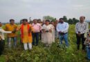 विधायक ने खराब सोयाबीन एवं धान का किया अवलोकन    