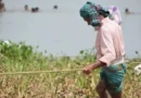 PM-KISAN 21वीं किस्त: नवंबर में किसानों के खाते में आ सकते हैं ₹2,000, eKYC कराना जरूरी