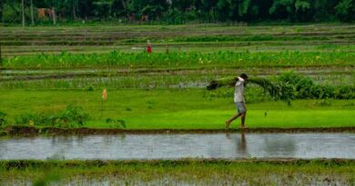 रायपुर: 15 लाख किसानों को मिला 6795 करोड़ रुपये से अधिक का ब्याज मुक्त ऋण