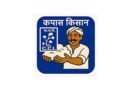 Kapas Kisan App: डिजिटल ऐप से कपास बिक्री आसान, 7 दिन पहले बुक करें स्लॉट; बिना लाइन लगाए बेचें उपज