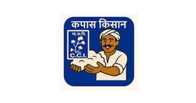 Kapas Kisan App: डिजिटल ऐप से कपास बिक्री आसान, 7 दिन पहले बुक करें स्लॉट; बिना लाइन लगाए बेचें उपज