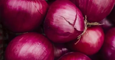 Onion Price: महाराष्ट्र की इस मंडी में ₹3200 प्रति क्विंटल तक बिका प्याज, देखिए आज का प्याज मंडी रेट