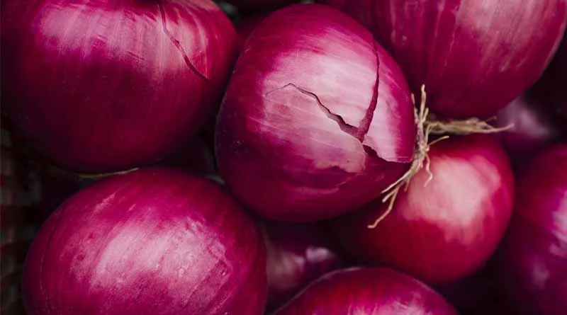 Onion Price: महाराष्ट्र की इस मंडी में ₹3200 प्रति क्विंटल तक बिका प्याज, देखिए आज का प्याज मंडी रेट