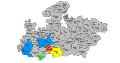 मध्यप्रदेश के 10 जिलों में हल्की वर्षा संभावित  