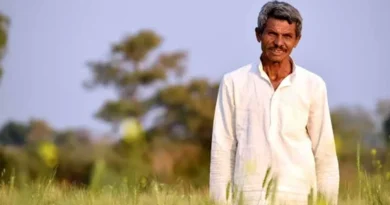 रायपुर: प्रधानमंत्री-अन्नदाता आय संरक्षण अभियान के तहत दलहनी-तिलहनी फसलों का समर्थन मूल्य पर उपार्जन