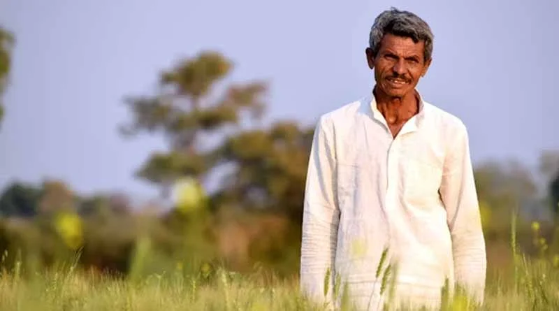 रायपुर: प्रधानमंत्री-अन्नदाता आय संरक्षण अभियान के तहत दलहनी-तिलहनी फसलों का समर्थन मूल्य पर उपार्जन