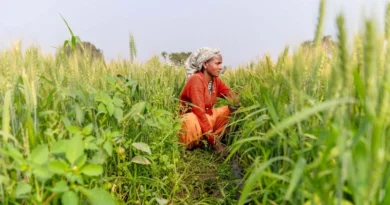सरकार ने खाद नियंत्रण आदेश में किया बड़ा बदलाव, पशु-आधारित बायोस्टिमुलेंट हुए बंद