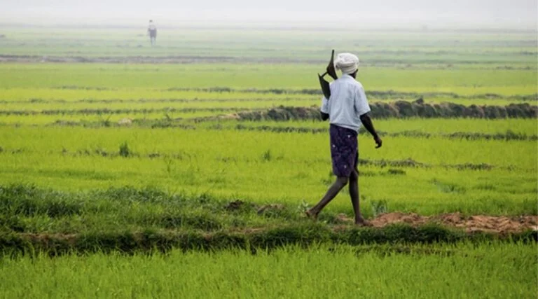 Direct Benefit Transfer: डीबीटी क्या है और किसानों के लिए क्यों जरूरी है? जानिए इसके फायदे