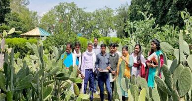 श्योपुर के किसानों ने सीखी कांटारहित कैक्टस की खेती - सूखे में हरे चारे और आय का नया विकल्प