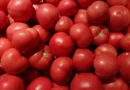 Tomato Price: उत्तर प्रदेश की मंडियों में टमाटर का औसत भाव ₹2057, सहारनपुर में किसानों को मिला ₹2400 तक का भावTomato Price: उत्तर प्रदेश की मंडियों में टमाटर का औसत भाव ₹2057, सहारनपुर में किसानों को मिला ₹2400 तक का भाव