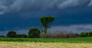 चक्रवात मोंथा 28 अक्टूबर को धारण करेगा गंभीर रूप, मौसम विभाग का रेड अलर्ट जारी; इन राज्यों में बरपाएगा कहर  