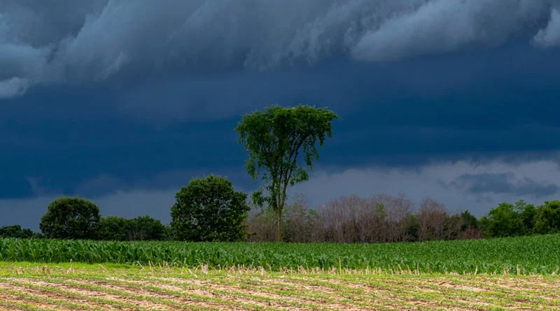 चक्रवात मोंथा 28 अक्टूबर को धारण करेगा गंभीर रूप, मौसम विभाग का रेड अलर्ट जारी; इन राज्यों में बरपाएगा कहर