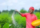उर्वरक खपत की चुनौतियों के समाधान हेतु धरती माता बचाओ निगरानी समिति गठित