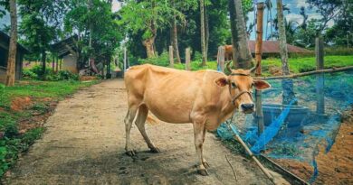 दुग्ध समृद्धि संपर्क अभियान 2 से 9 अक्टूबर तक