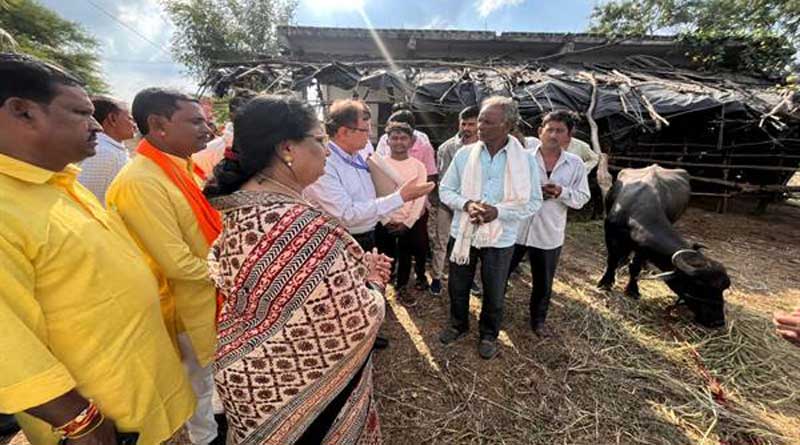 स्वस्थ और उच्च उत्पादकता वाले पशु ही दुग्ध उत्पादन बढ़ाने में सहायक