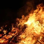 पराली जलाने पर योगी सरकार सख्त, यूपी में पराली जलाने की घटनाओं पर सेटेलाइट से की जा रही निगरानी