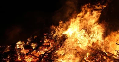 पराली जलाने पर योगी सरकार सख्त, यूपी में पराली जलाने की घटनाओं पर सेटेलाइट से की जा रही निगरानी