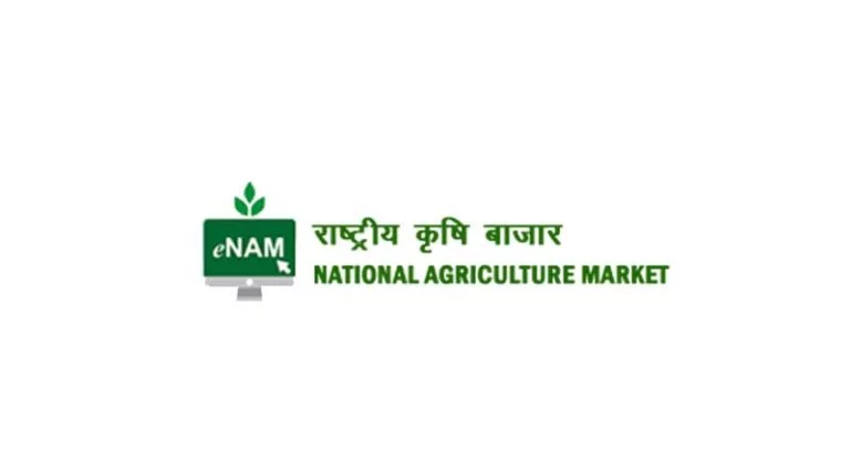सरकार ने e-NAM प्लेटफॉर्म में जोड़ीं 9 नई फसलें, डिजिटल मंडी में अब 247 फसलों की होगी व्यापार