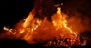 शिवपुरी जिले में फसल अवशेष जलाने पर पूर्ण प्रतिबंध