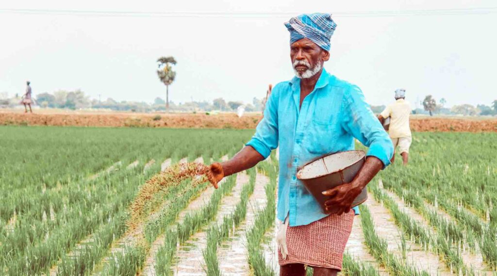 कैबिनेट ने रबी 2025–26 के लिए फॉस्फेटिक और पोटैशिक उर्वरकों पर पोषक तत्व आधारित सब्सिडी (NBS) दरों को दी मंजूरी
