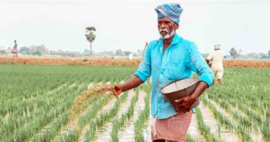 कैबिनेट ने रबी 2025–26 के लिए फॉस्फेटिक और पोटैशिक उर्वरकों पर पोषक तत्व आधारित सब्सिडी (NBS) दरों को दी मंजूरी कैबिनेट ने रबी 2025–26 के लिए फॉस्फेटिक और पोटैशिक उर्वरकों पर पोषक तत्व आधारित सब्सिडी (NBS) दरों को दी मंजूरी