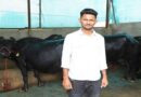 Success Story: झाबुआ के युवा किसान ने 12वीं के बाद शुरू किया पशुपालन का कारोबार, अब हर महीने कमा रहा ₹70 हजार  