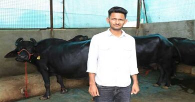 Success Story: झाबुआ के युवा किसान ने 12वीं के बाद शुरू किया पशुपालन का कारोबार, अब हर महीने कमा रहा ₹70 हजार  