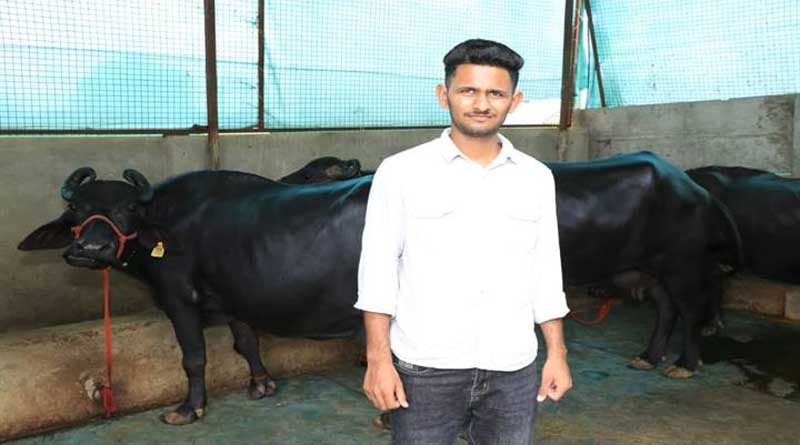 Success Story: झाबुआ के युवा किसान ने 12वीं के बाद शुरू किया पशुपालन का कारोबार, अब हर महीने कमा रहा ₹70 हजार  