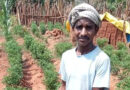 रायपुर: मिर्च की खेती ने के किसान सायो को किया मालामाल, सरकारी मदद से कमा रहा लाखों का मुनाफा
