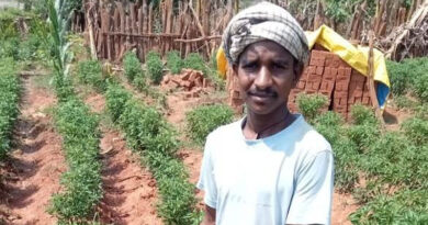 रायपुर: मिर्च की खेती ने के किसान सायो को किया मालामाल, सरकारी मदद से कमा रहा लाखों का मुनाफा