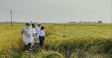 बारिश से हुए फसल नुकसान का कृषि विभाग की टीम ने लिया जायजा, किसानों को दी सुरक्षा उपायों की सलाह