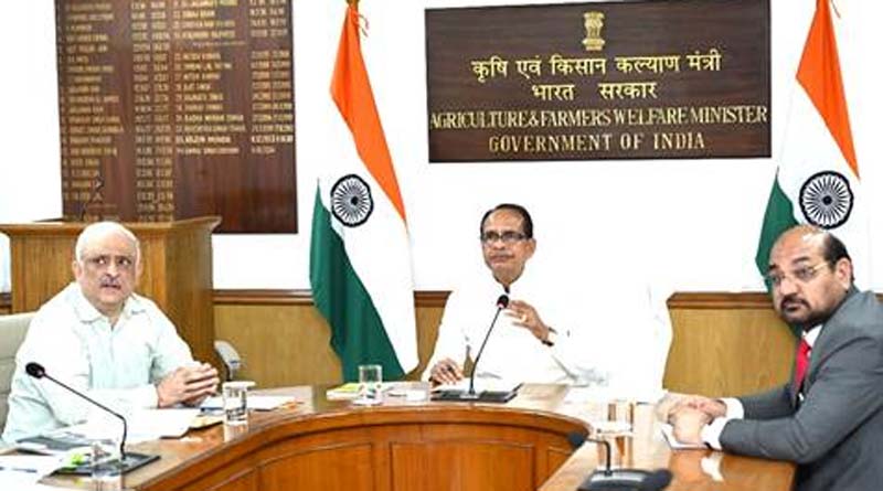 MP-महाराष्ट्र समेत 4 राज्यों में दालों और तिलहनों की 100% खरीदी को मंजूरी, लाखों किसानों को मिलेगा सीधा फायदा