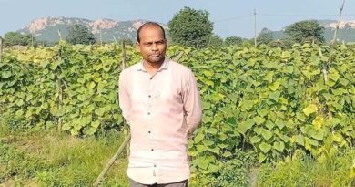 फसल विविधिकरण से बदली किस्मत: किसान ने 2 एकड़ में बरबट्टी-खीरे की खेती से कमाया 2.7 लाख का मुनाफा, जानिए कैसे