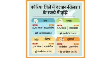 कोरिया में फसल विविधीकरण को मिल रही रफ्तार, मूंगफली की बुआई में 39% की बढ़त, धान के रकबे में आई कमी