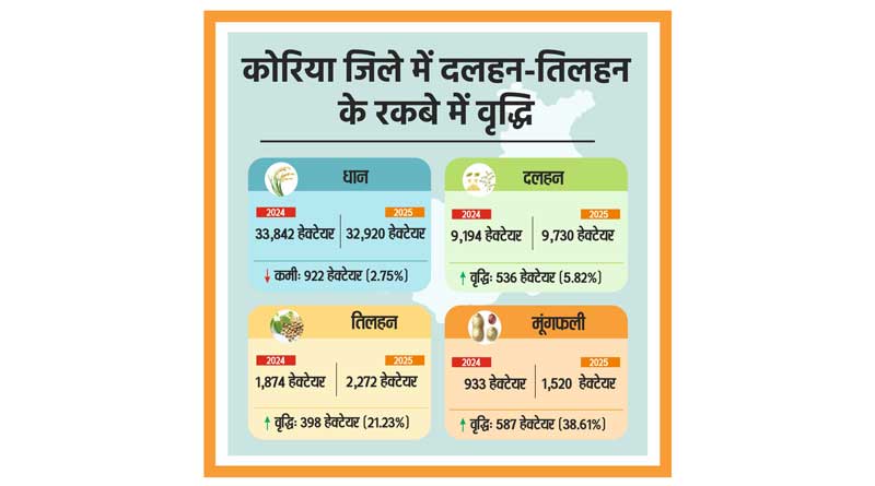 कोरिया में फसल विविधीकरण को मिल रही रफ्तार, मूंगफली की बुआई में 39% की बढ़त, धान के रकबे में आई कमी