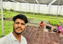बागवानी फसलों ने बदली किसान ओमनारायण की किस्मत, सालाना कमा रहे 10 लाख रुपये; जानिए उनकी सफलता का राज