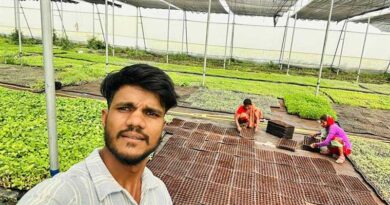 बागवानी फसलों ने बदली किसान ओमनारायण की किस्मत, सालाना कमा रहे 10 लाख रुपये; जानिए उनकी सफलता का राज