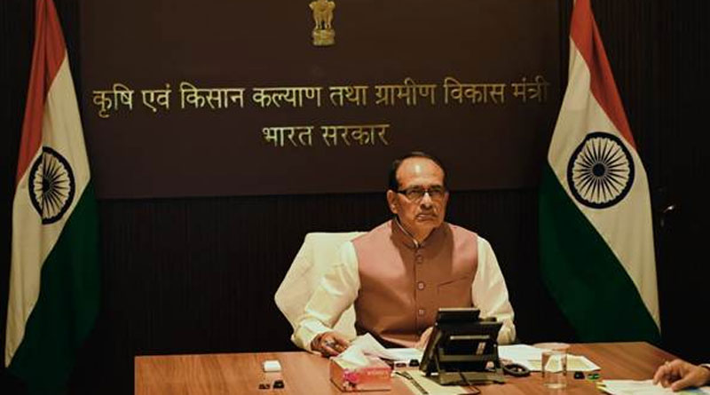 खरीफ 2025 में बुवाई में भारी वृद्धि, धान का रकबा 441 लाख हेक्टेयर, तिलहनी फसलें 190 लाख हेक्टेयर तक पहुंचीं