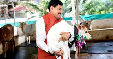 मध्यप्रदेश में दुग्ध उत्पादन से दोगुनी होगी पशुपालक किसानों की आय : मुख्यमंत्री डॉ. यादव