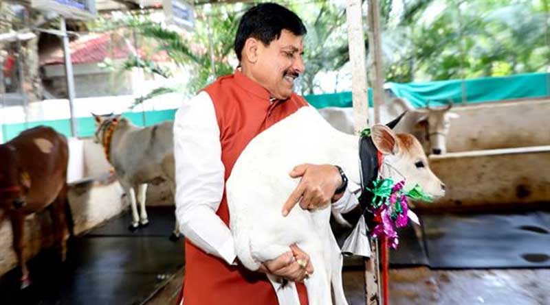 मध्यप्रदेश में दुग्ध उत्पादन से दोगुनी होगी पशुपालक किसानों की आय : मुख्यमंत्री डॉ. यादव