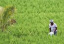 किसान पहचान पत्र योजना से जुड़े 5 नए राज्य, अब तक 7.2 करोड़ किसानों को मिली डिजिटल पहचान