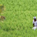 किसान पहचान पत्र योजना से जुड़े 5 नए राज्य, अब तक 7.2 करोड़ किसानों को मिली डिजिटल पहचान