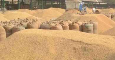 1.37 लाख किसानों ने उत्तरप्रदेश में धान बिक्री के लिए कराया रजिस्ट्रेशन, 1 नवंबर से शुरू होगी खरीद