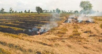 फसल अवशेष जलाने से होता है मृदा पोषक तत्वों का नुकसान - उप संचालक कृषि